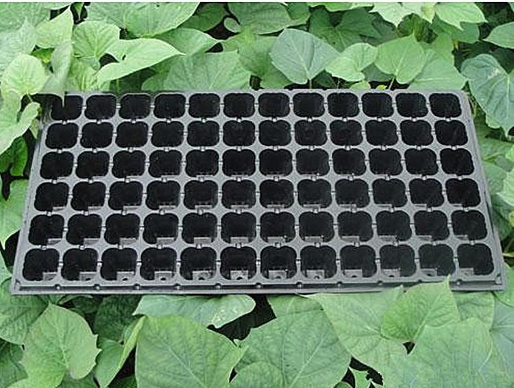 seeding hole