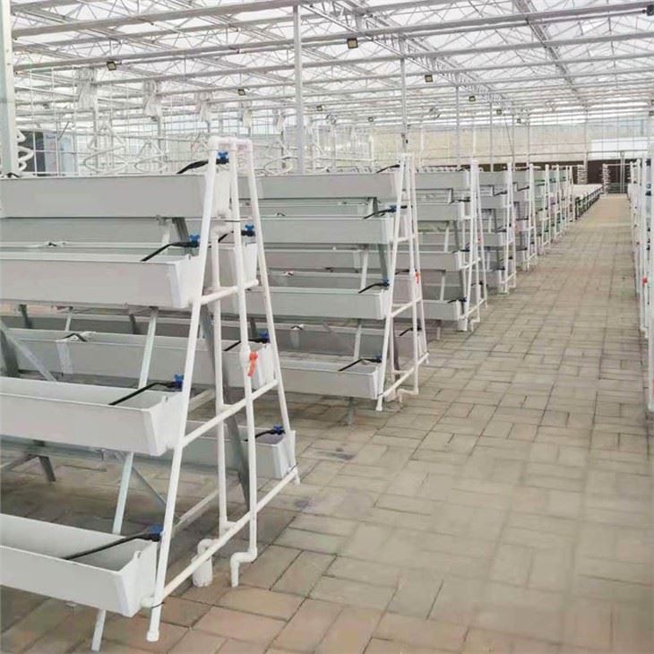 Hydroponics Vertical Farming