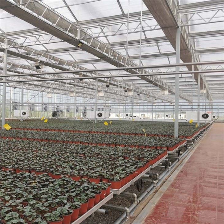 Hydroponics Vertical Farming
