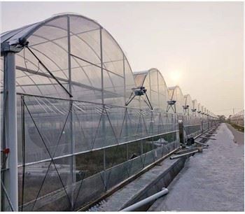 単層農業用温室