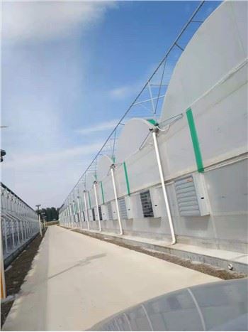 冷却システムを備えた温室