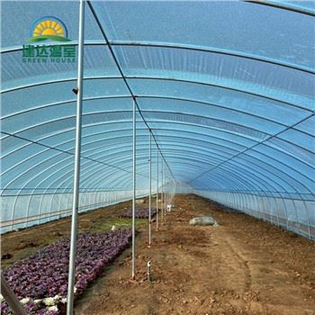 Single Tunnel Green House
